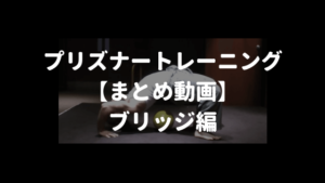 プリズナートレーニング　ブリッジ動画まとめ