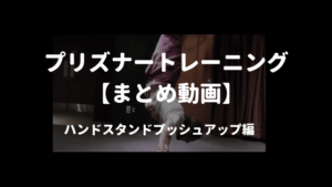 プリズナートレーニング　ハンドスタンドプッシュアップ動画まとめ