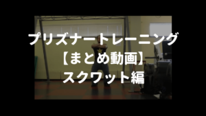 プリズナートレーニング スクワット動画まとめ