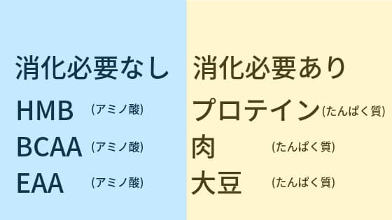 飲むタイミング